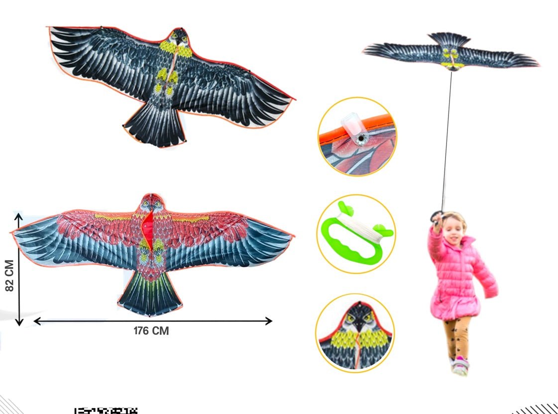 Eagle Bird Kite