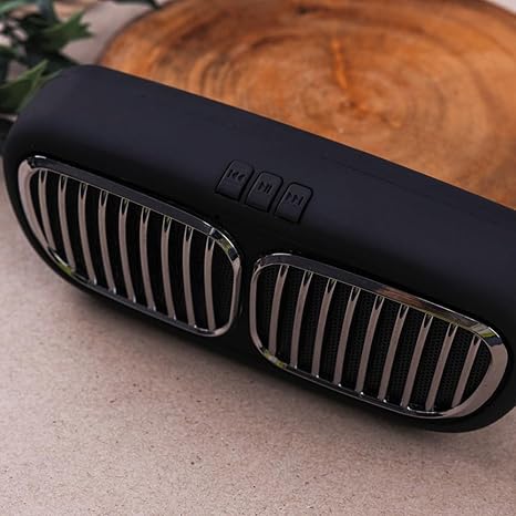Portable Speaker