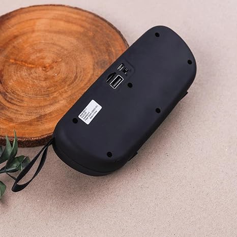 Portable Speaker
