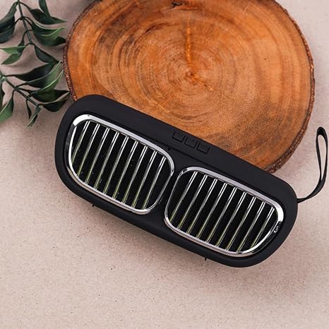 Portable Speaker