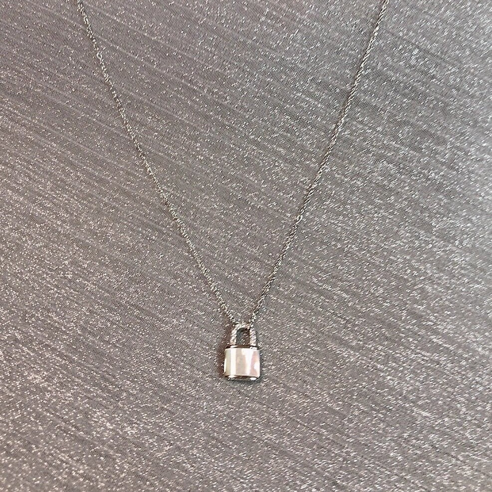 Simple Ins Special Interest Light Luxury Simple All-match S925 Sterling Silver Fritillary Lock Head Exquisite Necklace