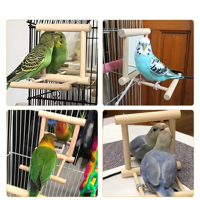 Bird Stand With Mirror