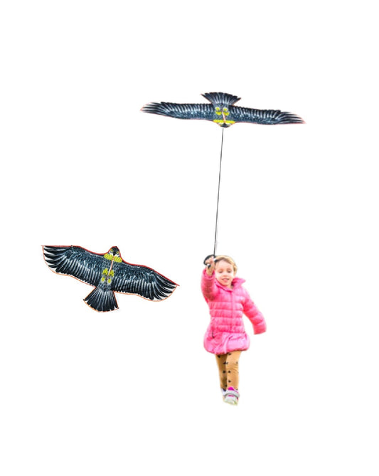 Eagle Bird Kite