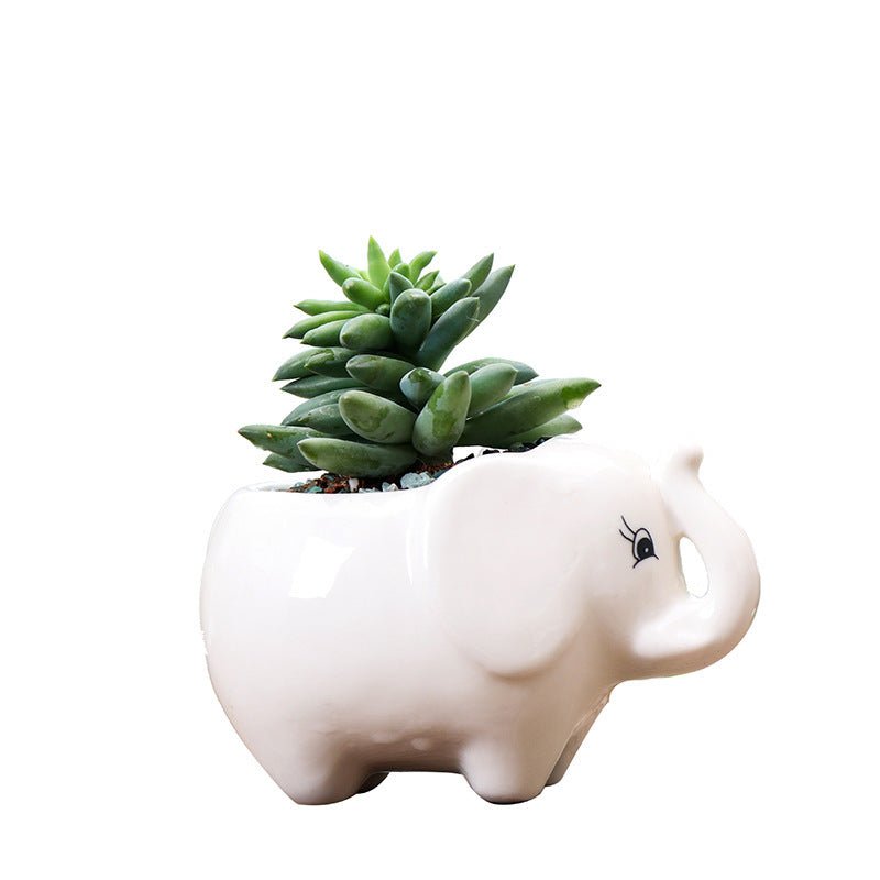 Gardening Creative Succulent Flower Pot