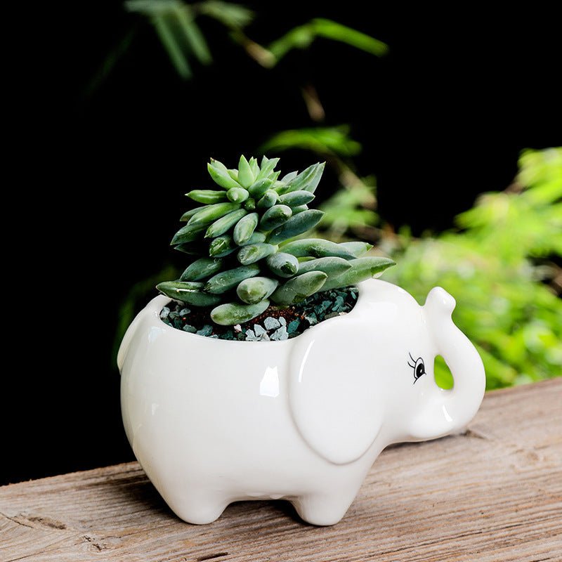 Gardening Creative Succulent Flower Pot