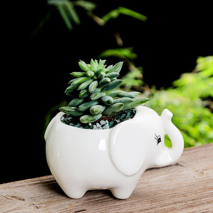 Gardening Creative Succulent Flower Pot