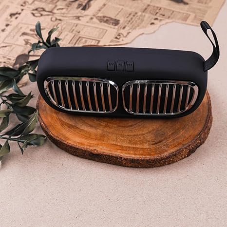 Portable Speaker